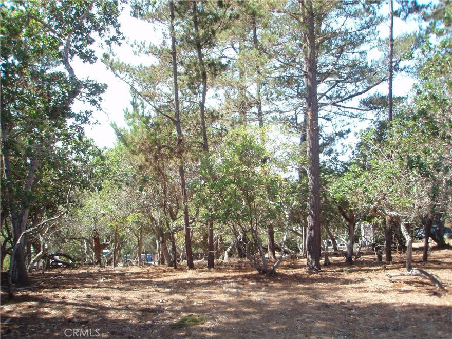 #582 on CCSD Water Wait List. Level Triple Lots, 75'x70', +-5250sf with Distant Ocean Views in a forest setting. Paved Street, Sunny, Quiet low traffic area. West of Hwy One Not Far to The Ocean. Wait for #582 Water Position or Transfer A Water Meter or Lower Water Position here. Buy and Hold for now until the current building moratorium for new construction is lifted. Check CCSD and county websites (cambriacsd.org & slocounty.ca.gov) for info on the moratorium & allowable uses for property. This Is a Nice Flat Triple Lot Affording Many Design Options for your Future Cambria Home. Offered for $59,000.