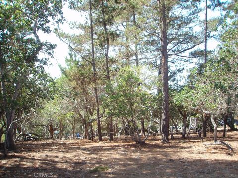 Photo of 1865 Dreydon Avenue, Cambria, CA 93428 (MLS # SC25174055) Photo of 1865 Dreydon Avenue, Cambria, CA 93428 (MLS # SC25174055)