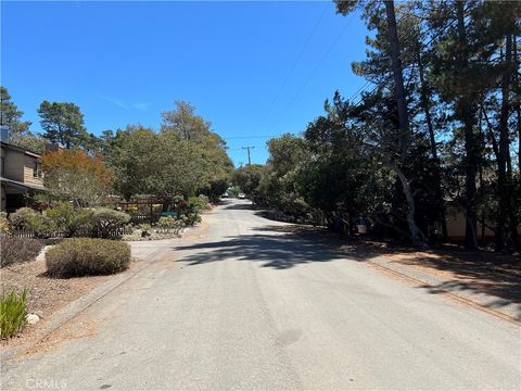 Tiny photo for 1865 Dreydon Avenue, Cambria, CA 93428 (MLS # SC25174055)