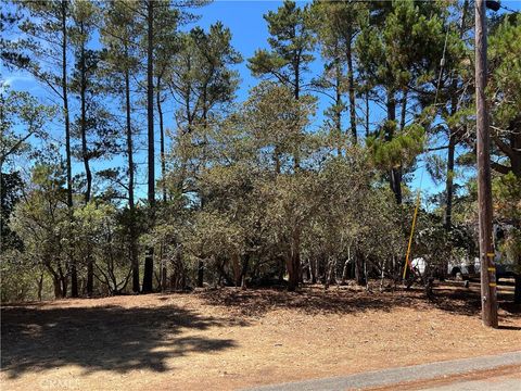 Tiny photo for 1865 Dreydon Avenue, Cambria, CA 93428 (MLS # SC25174055)