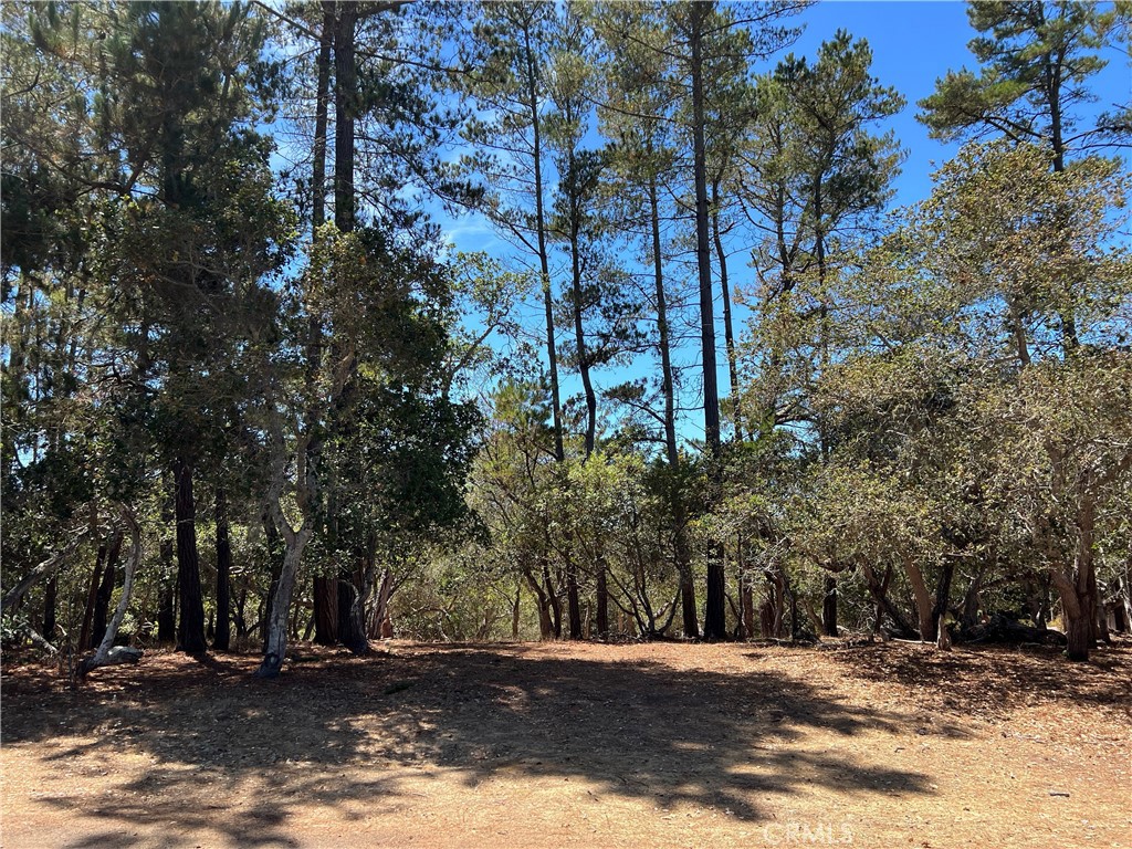 Lodge Hill(430) - Land