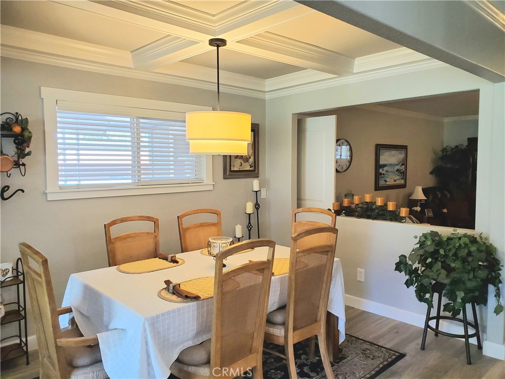30761 Paradise Palm