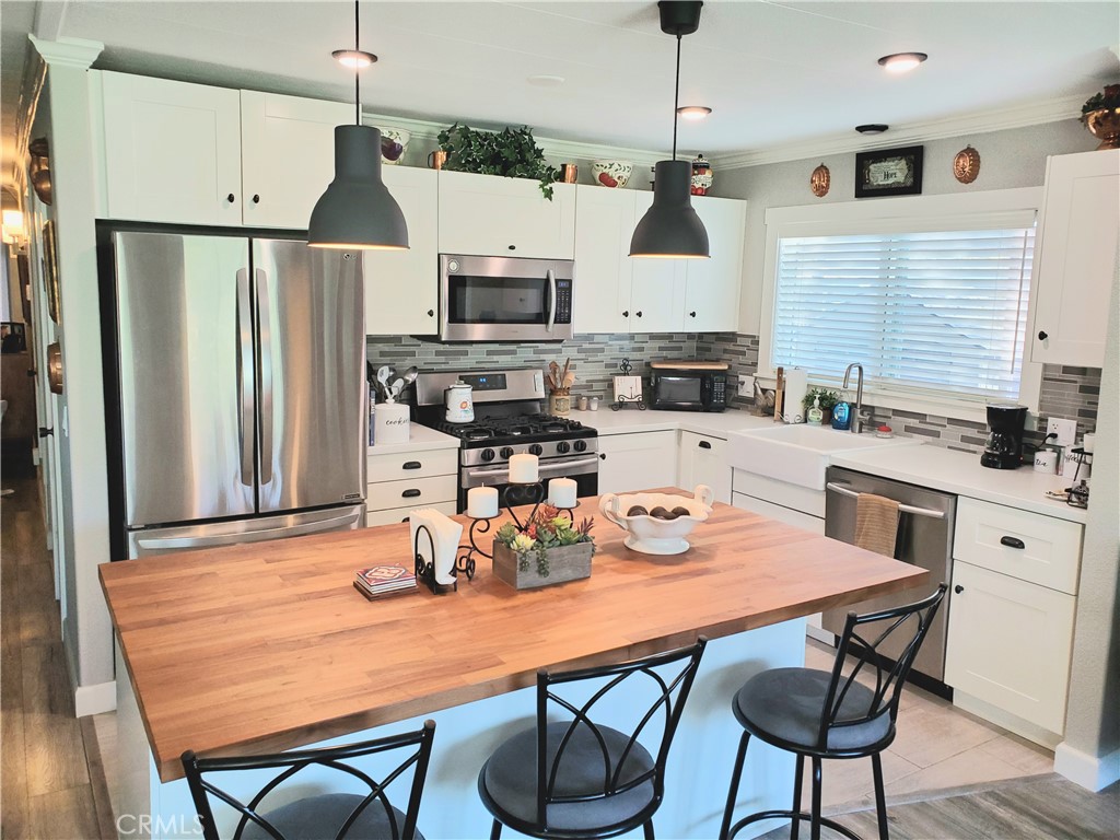 30761 Paradise Palm