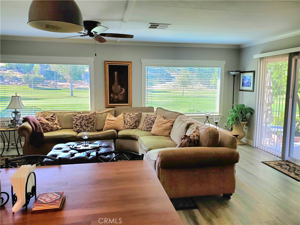 30761 Paradise Palm