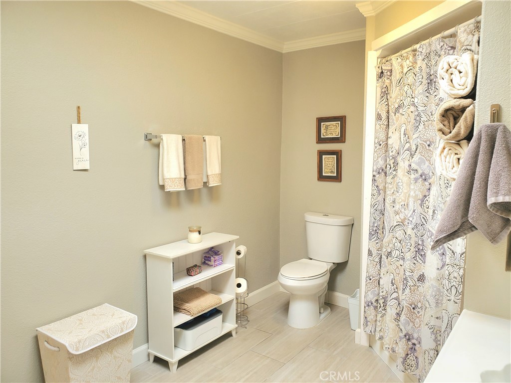 30761 Paradise Palm