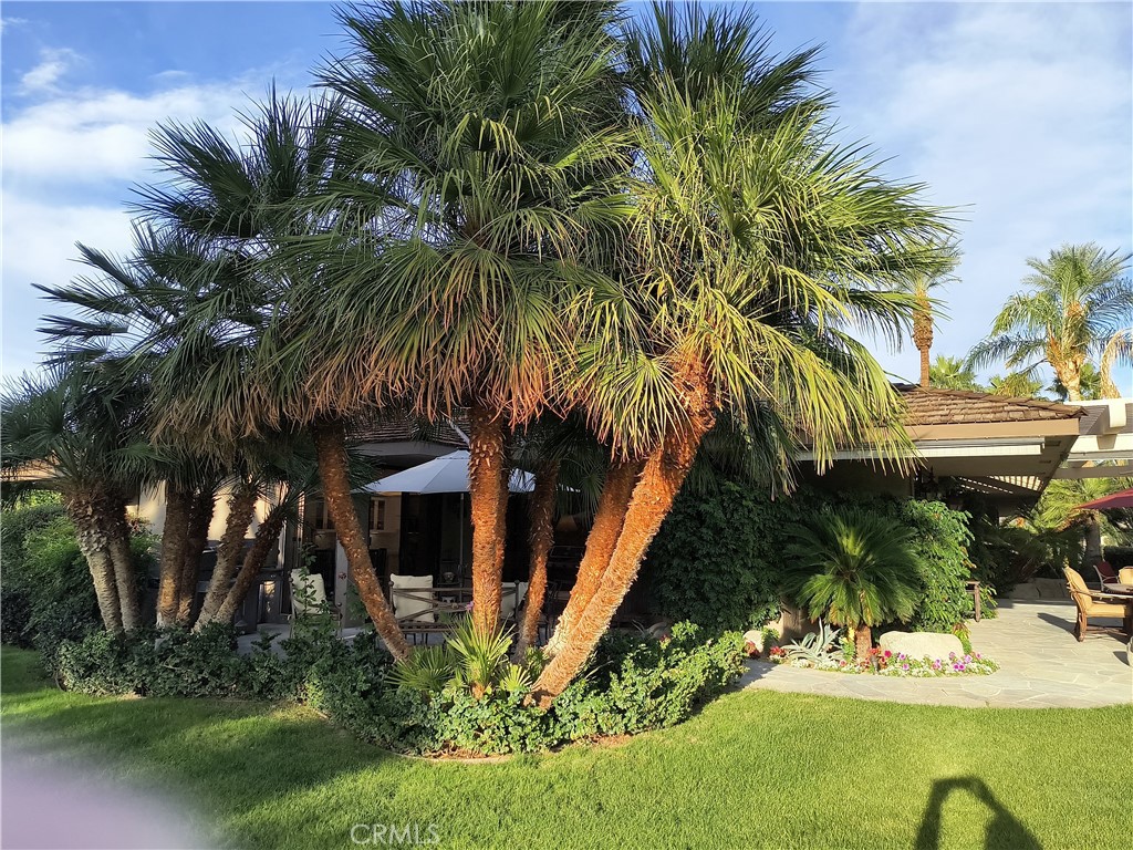 The Springs C.C. (32198) - Residential