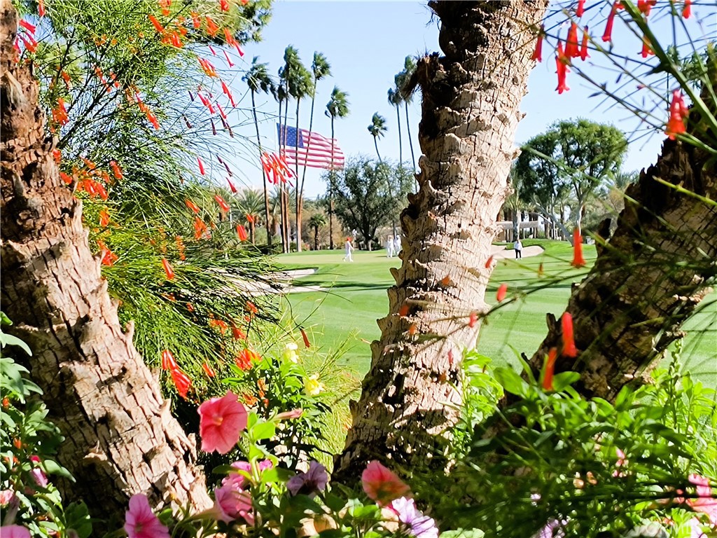 The Springs C.C. (32198) - Residential