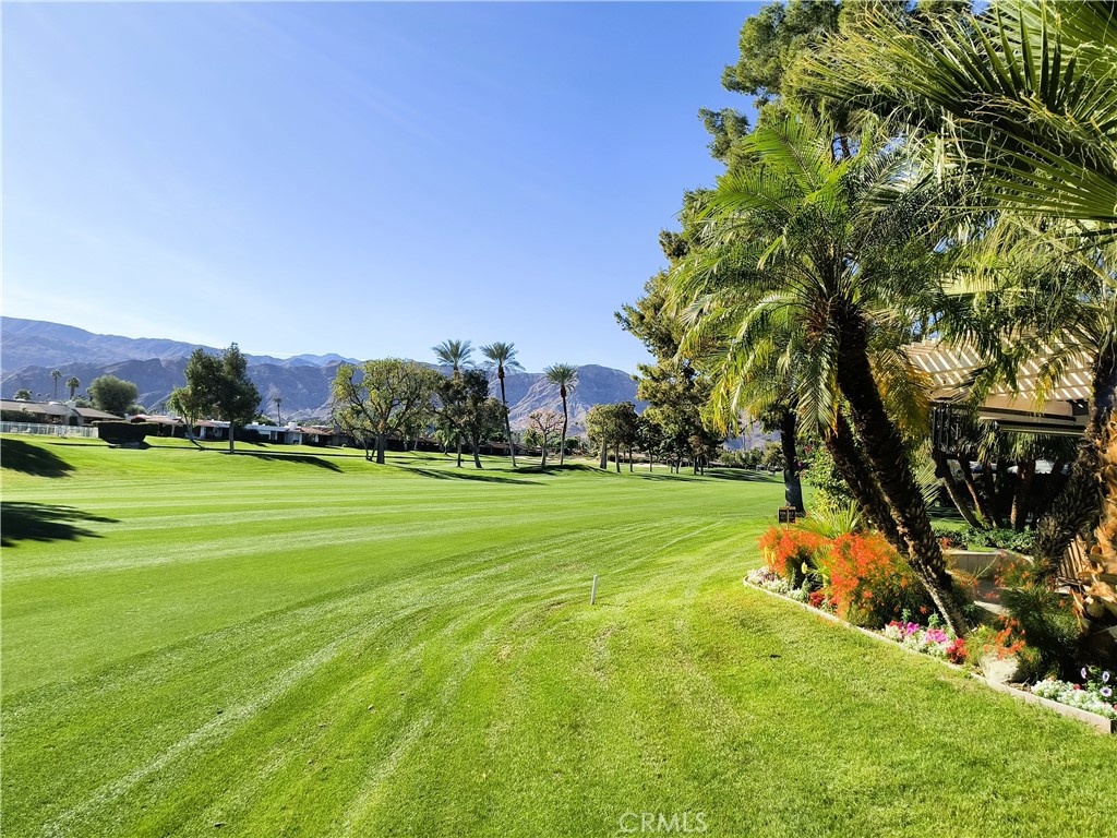 The Springs C.C. (32198) - Residential