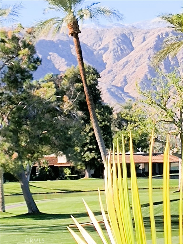 The Springs C.C. (32198) - Residential