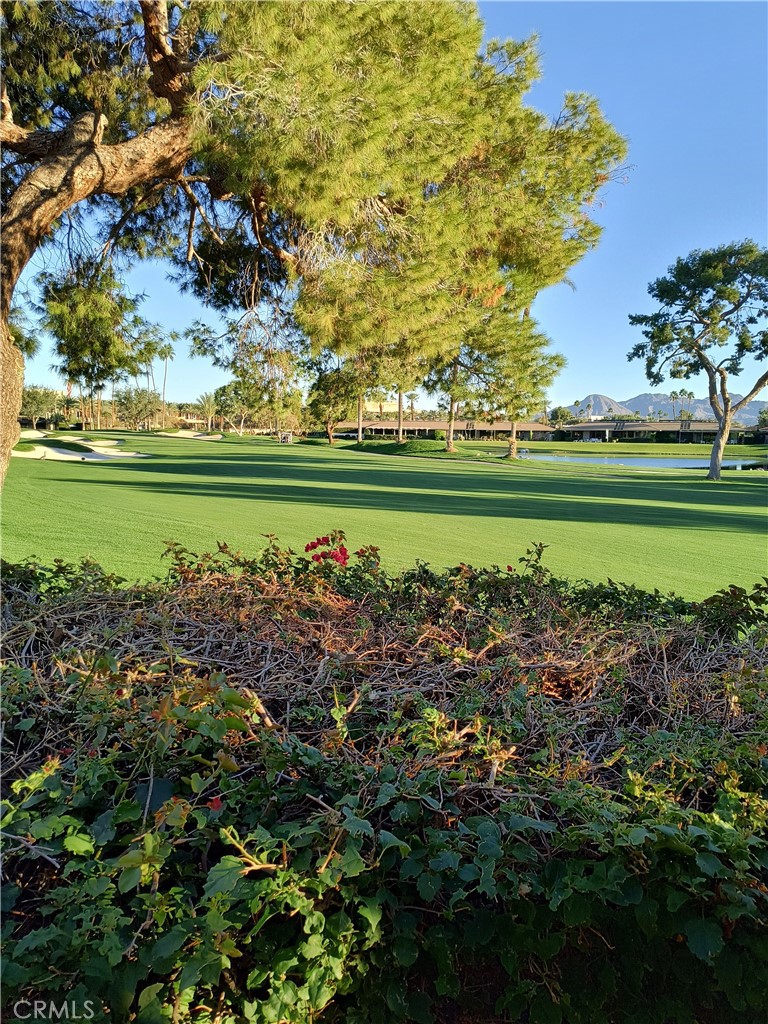 The Springs C.C. (32198) - Residential