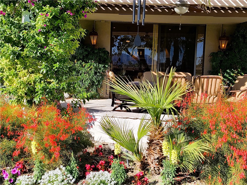 The Springs C.C. (32198) - Residential