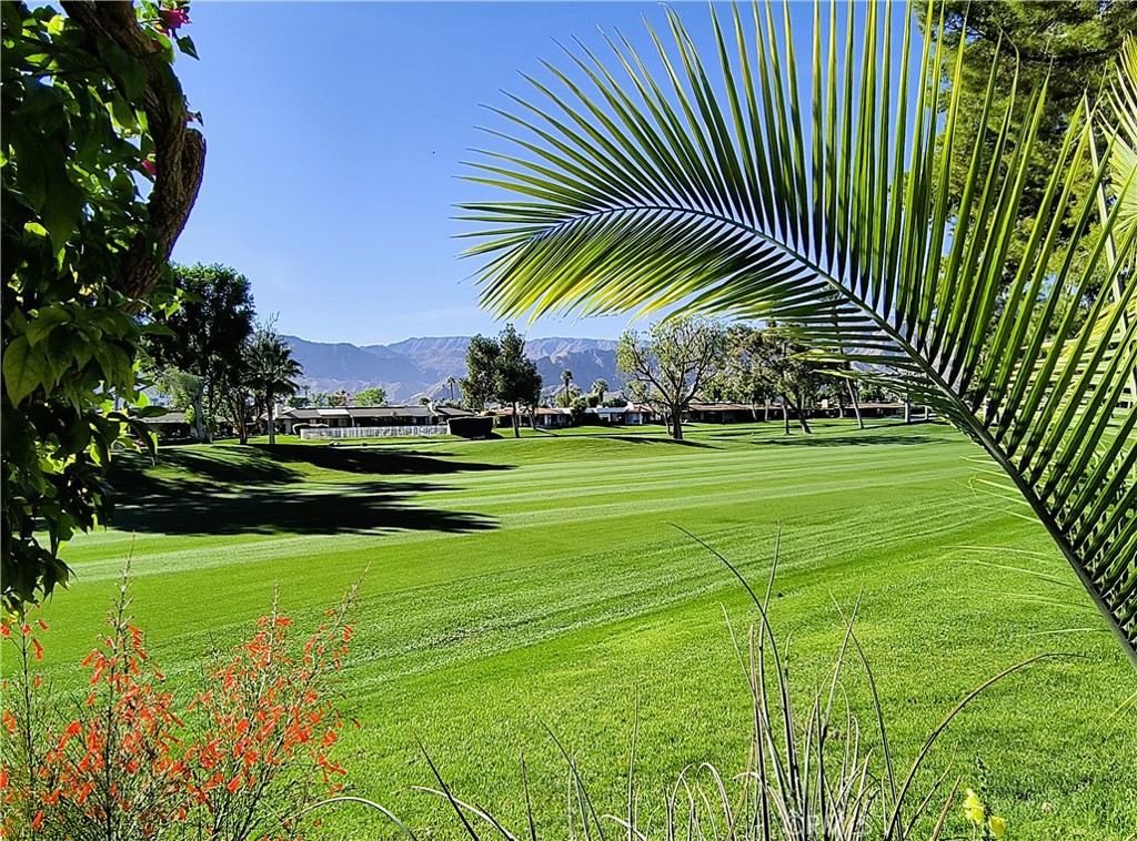 The Springs C.C. (32198) - Residential