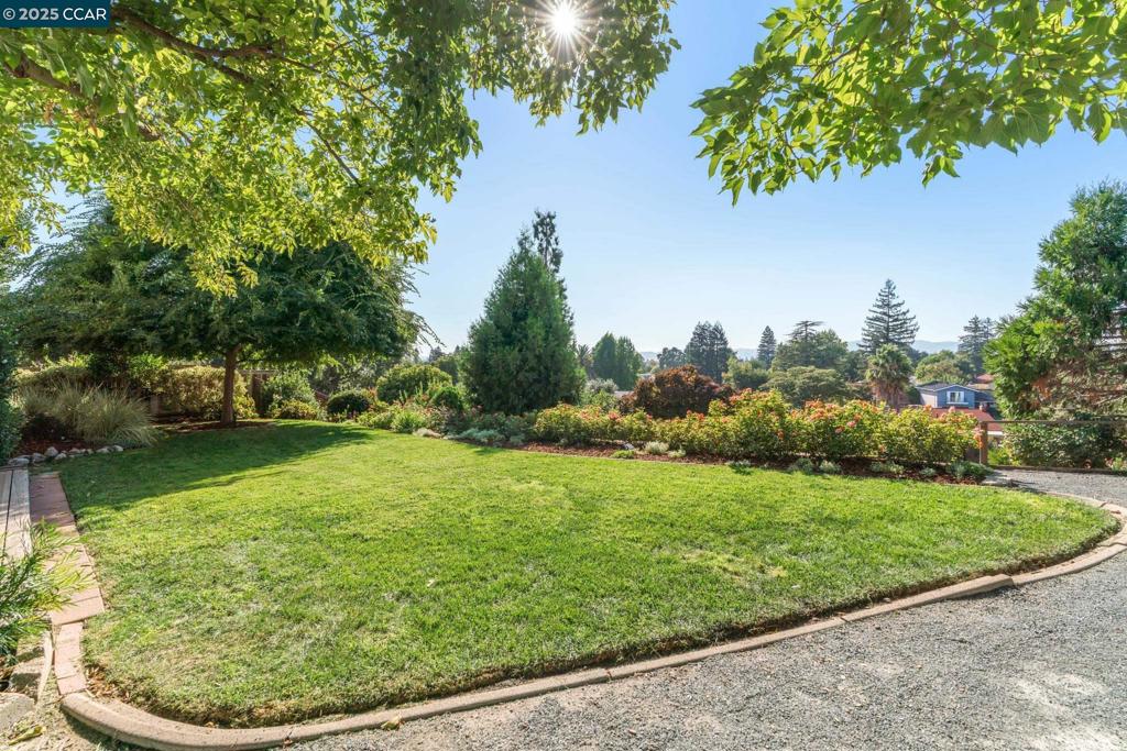 THE WOODLANDS - Residential