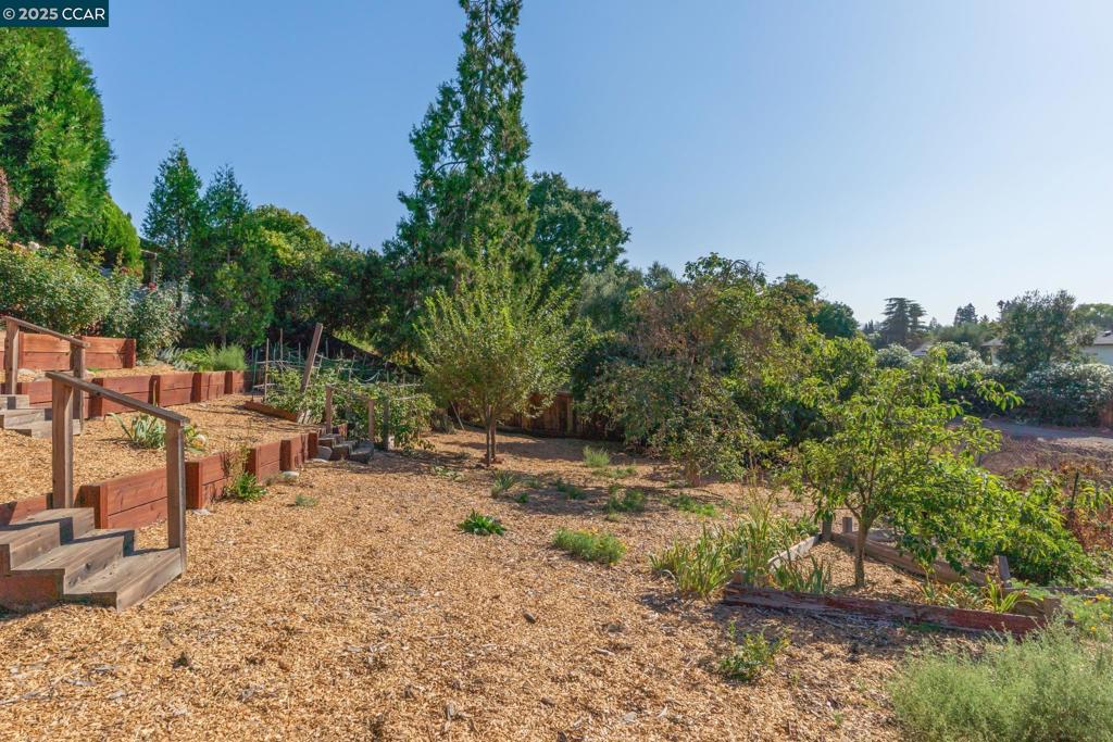 THE WOODLANDS - Residential