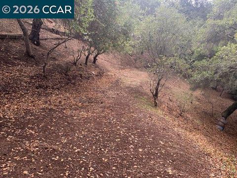 Photo of Mountain View Ave, Oakland, CA 94605 (MLS # 41142785)