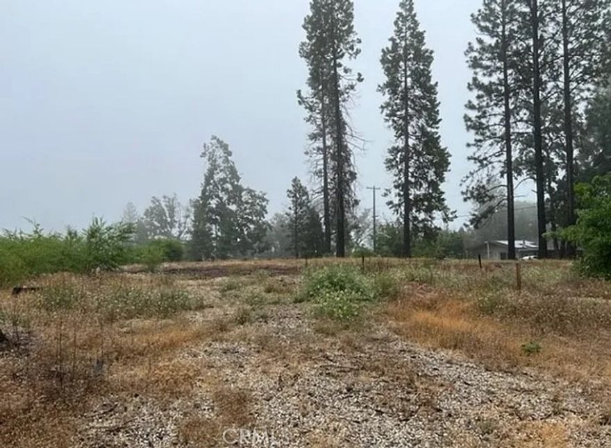 Beautiful and serene location in quiet Magalia. Many mature trees. The perfect site for your future home!