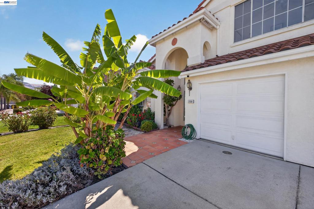 2556 Monte Lindo Ct