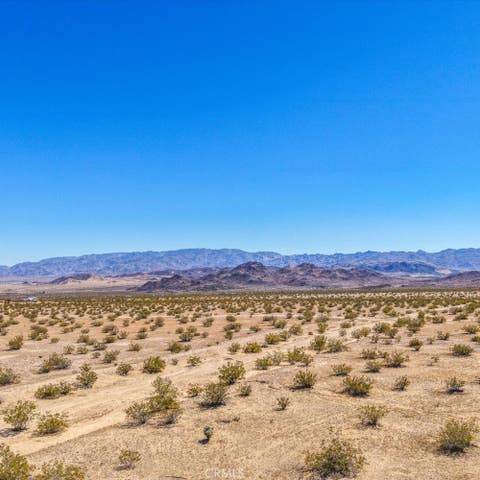 Photo of 55 Mile Square Road, Joshua Tree, CA 92252 (MLS # PW26184668)