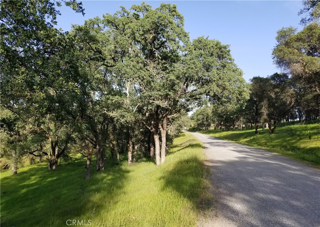 10 Acres of Views & Potential – Your Country Estate Awaits! Envision your dream home on this stunning 10-acre parcel with breathtaking foothill views and the exciting potential for AG water access. Prime Location, Prime Lifestyle: Enjoy the best of both worlds – peaceful countryside living just minutes from shopping, highways (99 & 70), the Feather River, Lake Oroville fun, and nearby casinos. Build Your Masterpiece: Create a custom estate in this desirable area of fine homes. Unlock AG Potential: Seller will facilitate an easement for AG water access. Expand Your Vision: The adjacent 10.1-acre parcel with existing AG water access is also available. Make your estate a reality! Explore available land and construction loans to leverage your savings.