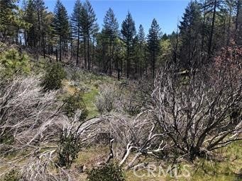 7097 High Valley