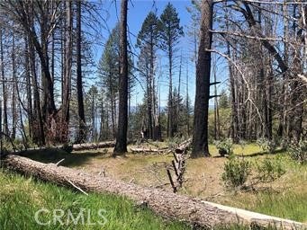 7097 High Valley