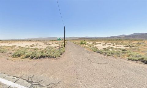 47100 Autum Leaf Road Newberry Springs CA 92365