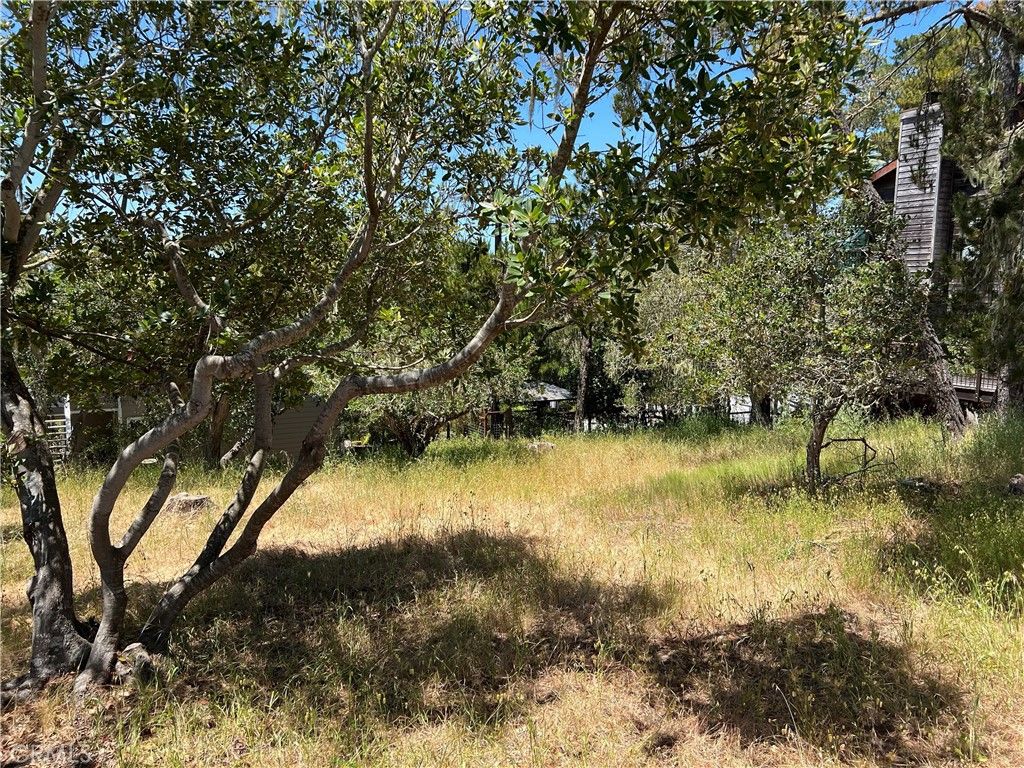 listing image 130728695415806142676