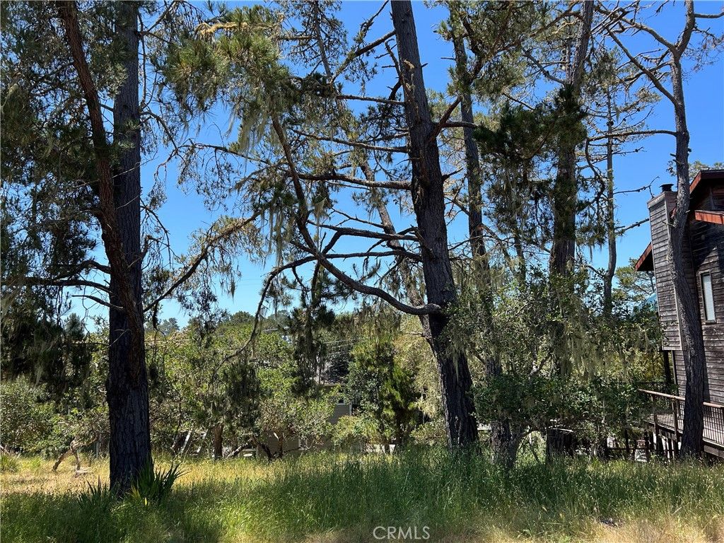 listing image 130724207616147834767