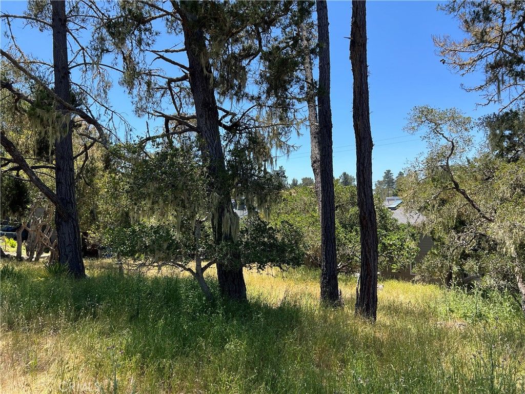 listing image 130727906721257535169