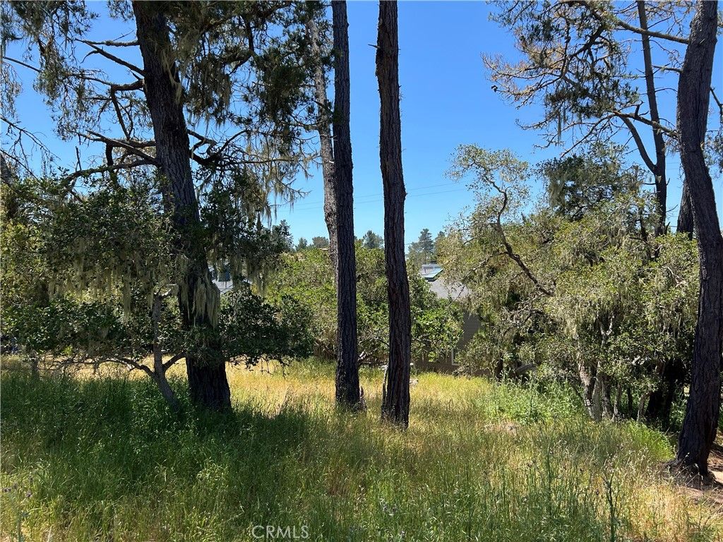 listing image 130723574178831854460
