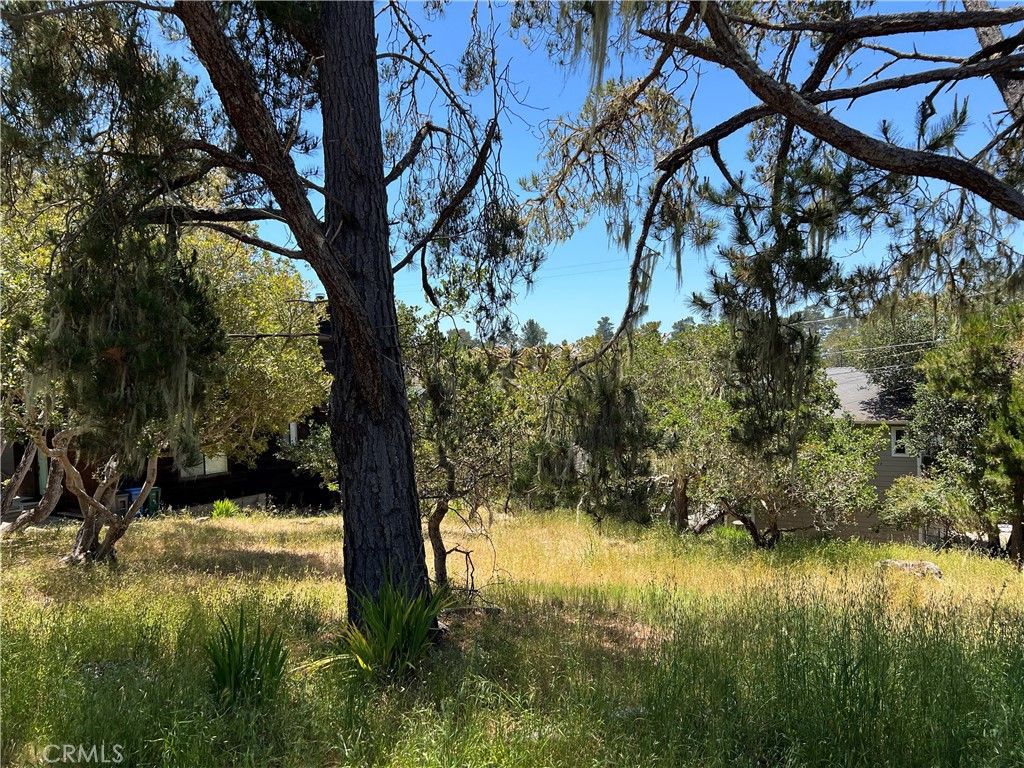 listing image 130725619235727994997