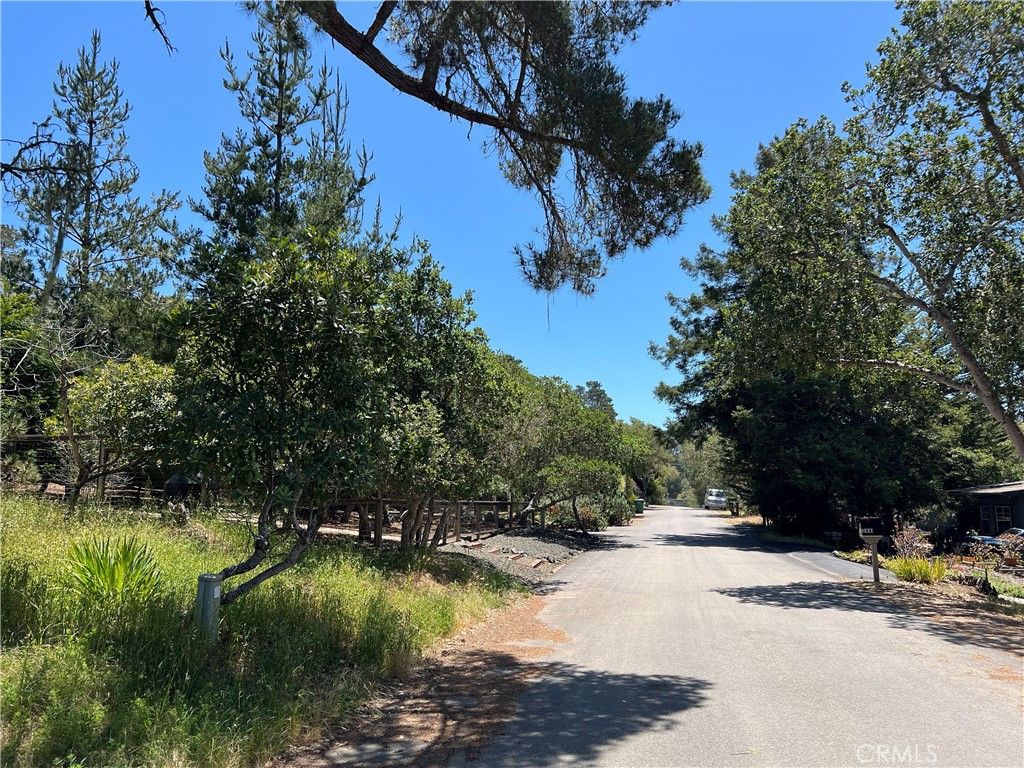 listing image 130722817686958092995