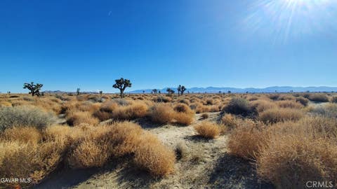 Photo of 0 Vicinity Avenue L2 & 77th East, Palmdale, CA 93535 (MLS # SR26178409)