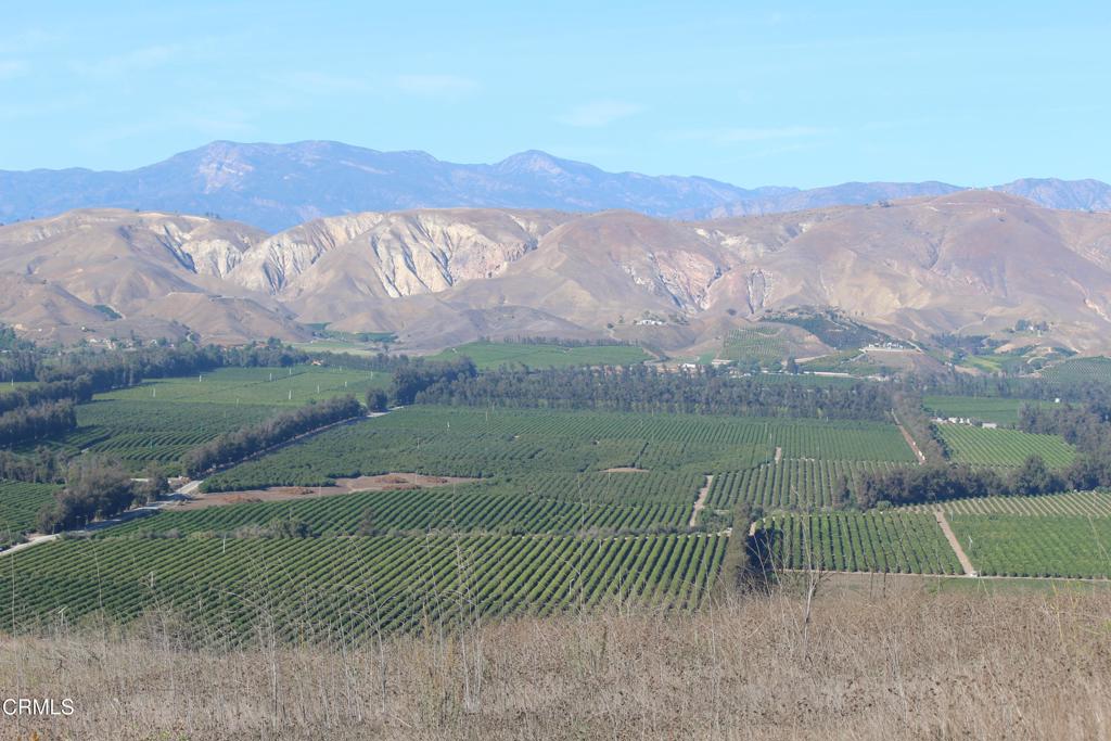 1672 E Los Angeles Avenue