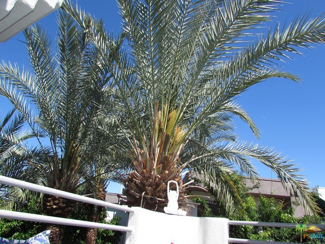 La Palme - Residential