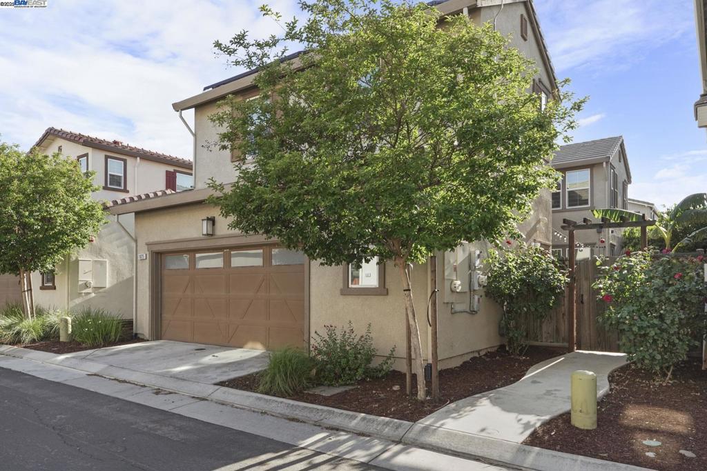 MOUNTAIN HOUSE - Residential