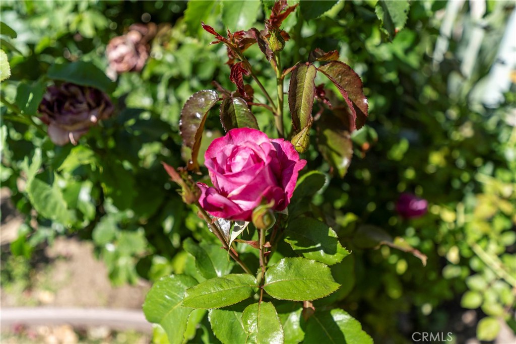 7608 Penobscot Drive