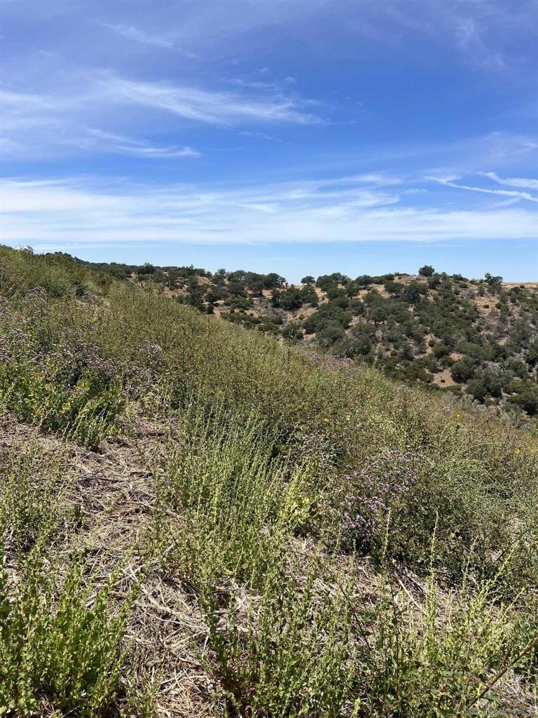 3885 Eagle Ridge