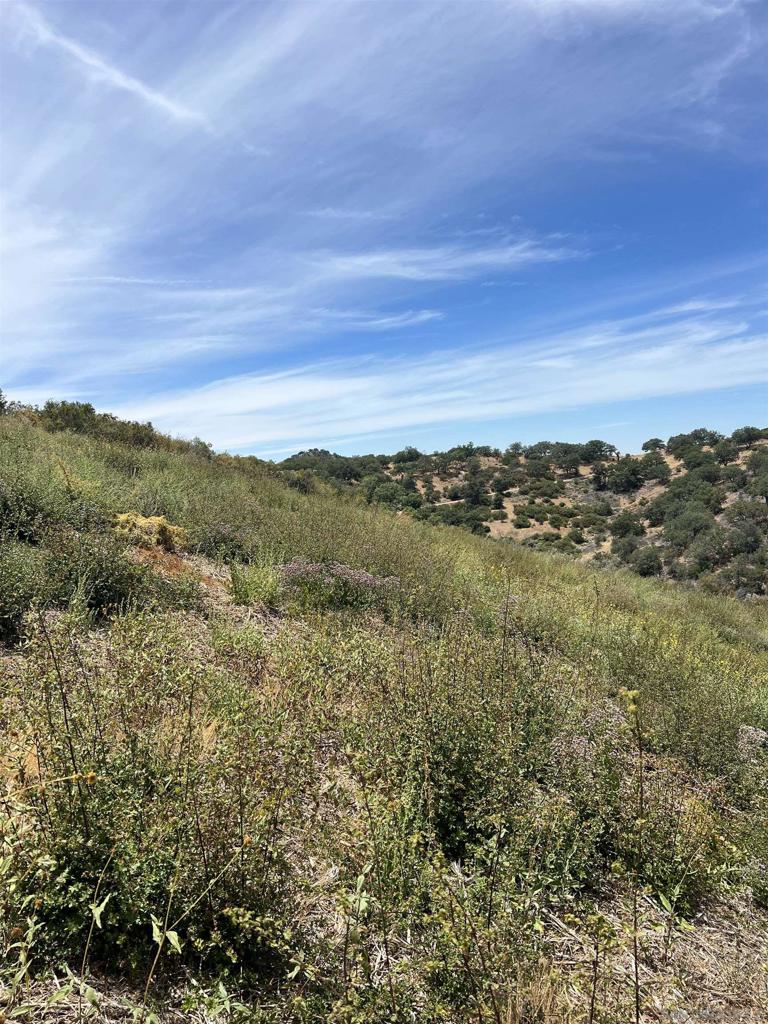 3885 Eagle Ridge