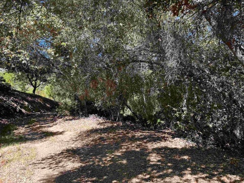 Tiny photo for 45481 Camaron Road, Temecula, CA 92590 (MLS # PTP2606852)