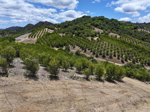 Tiny photo for 45481 Camaron Road, Temecula, CA 92590 (MLS # PTP2606852)