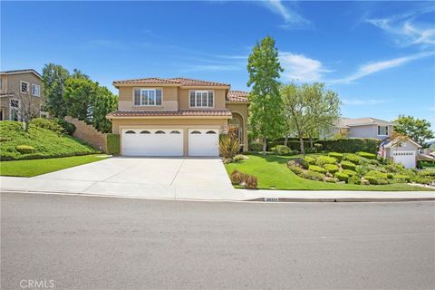 20781 Raintree Lane Rancho Santa Margarita CA 92679