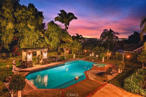 25641 Rapid Falls Road Laguna Hills CA 92653