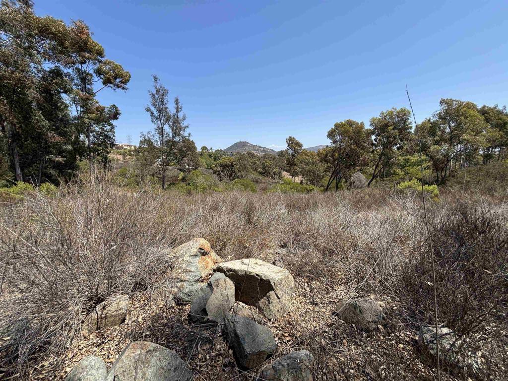 Prime 2.45-acre lot with mountain views and ocean breezes, surrounded by luxury homes in Knightsbridge and Shea Homes' "One Oak". Adjacent 2.46 acre parcel also for sale—buy both for 4.9 acres total. Ideal for land banking until the access road via legal easement from Lone Hill is completed, or take on the development of the shared driveway yourself. Although your access is through Knightsbridge, neither of these lots is subject to the HOA. Both lots are located in the City of Encinitas—A rare opportunity to live in the Country! Buyer to cooperate with seller's 1031 exchange.