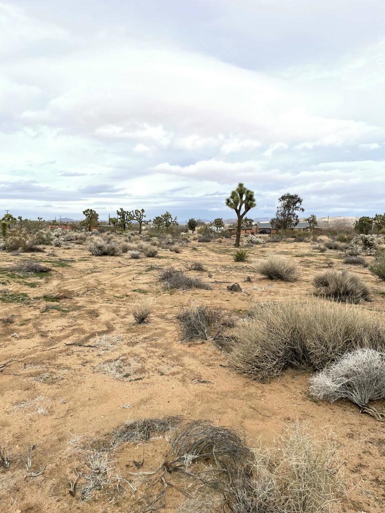 58383 Beaver Tail Lane