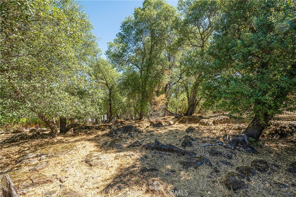 18876 Timber Point Road