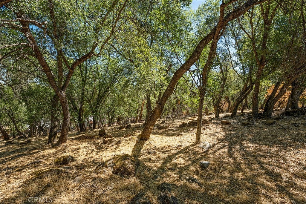 18876 Timber Point Road