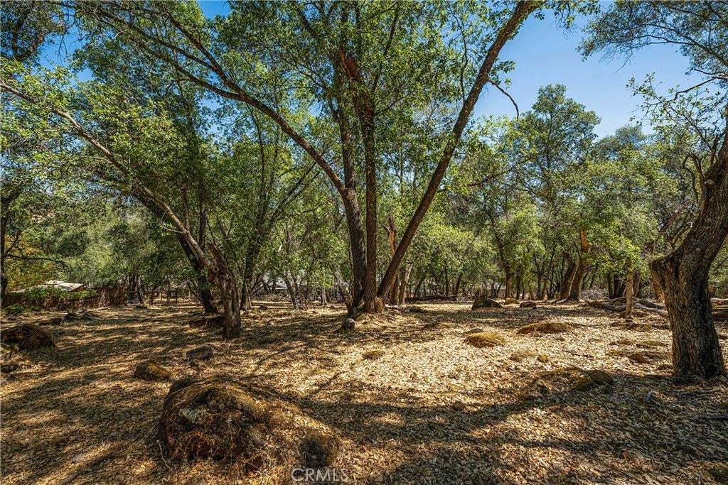 18876 Timber Point Road
