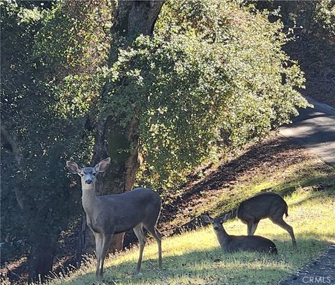 Photo of 2155 San Fernando Rd, Atascadero, CA 93422 (MLS # HD25279164)