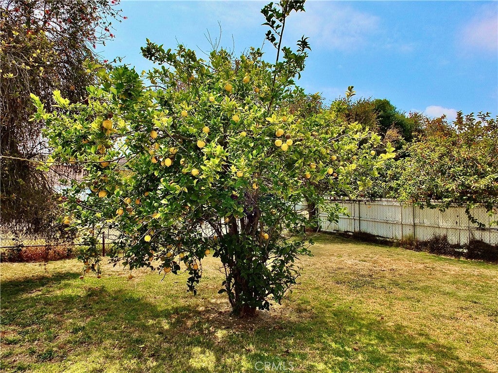 11743 Slater